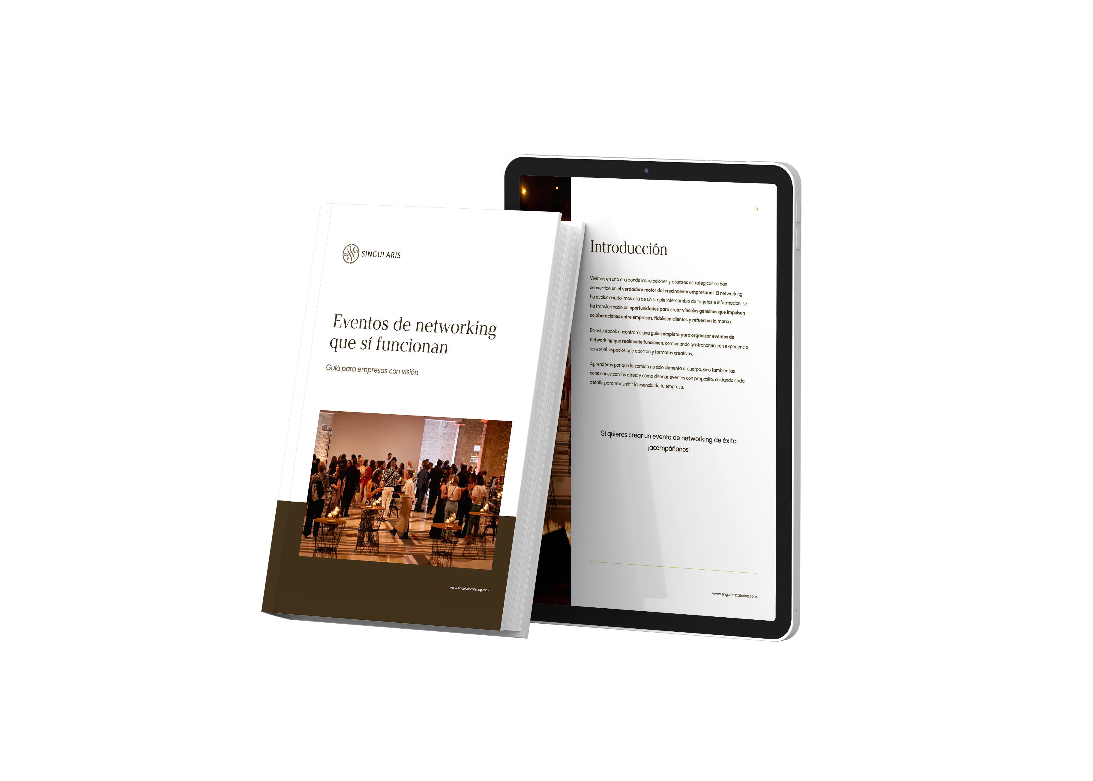 _mockup 2025_SINGULARIS-LP-TYP-LM1