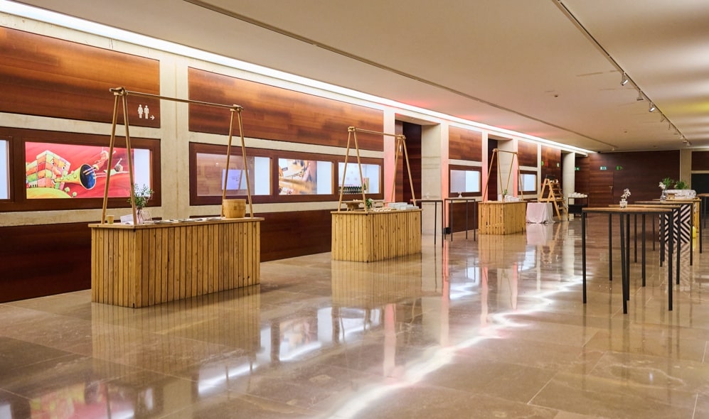 bg-espacios-singulares-auditori